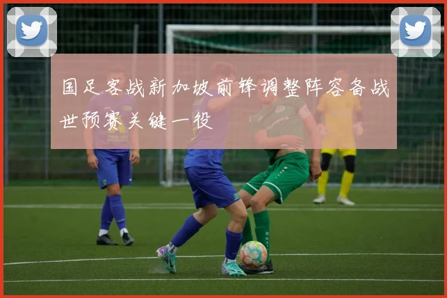 国足客战新加坡前锋调整阵容备战世预赛关键一役