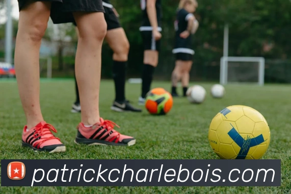 mksports最新比分平台生态图